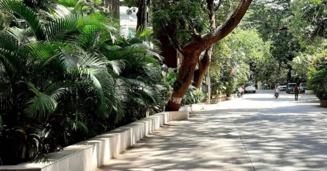 Pali Hill : The neighbourhood that shaped the brand