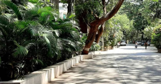 Pali Hill : The neighbourhood that shaped the brand